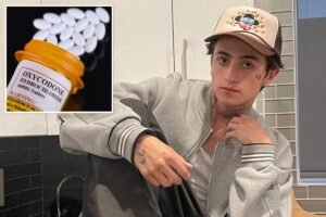 Read more about the article Influencer Cooper Noriegaâs overdose death tied to evil âDoorDash for Drugs’ scheme