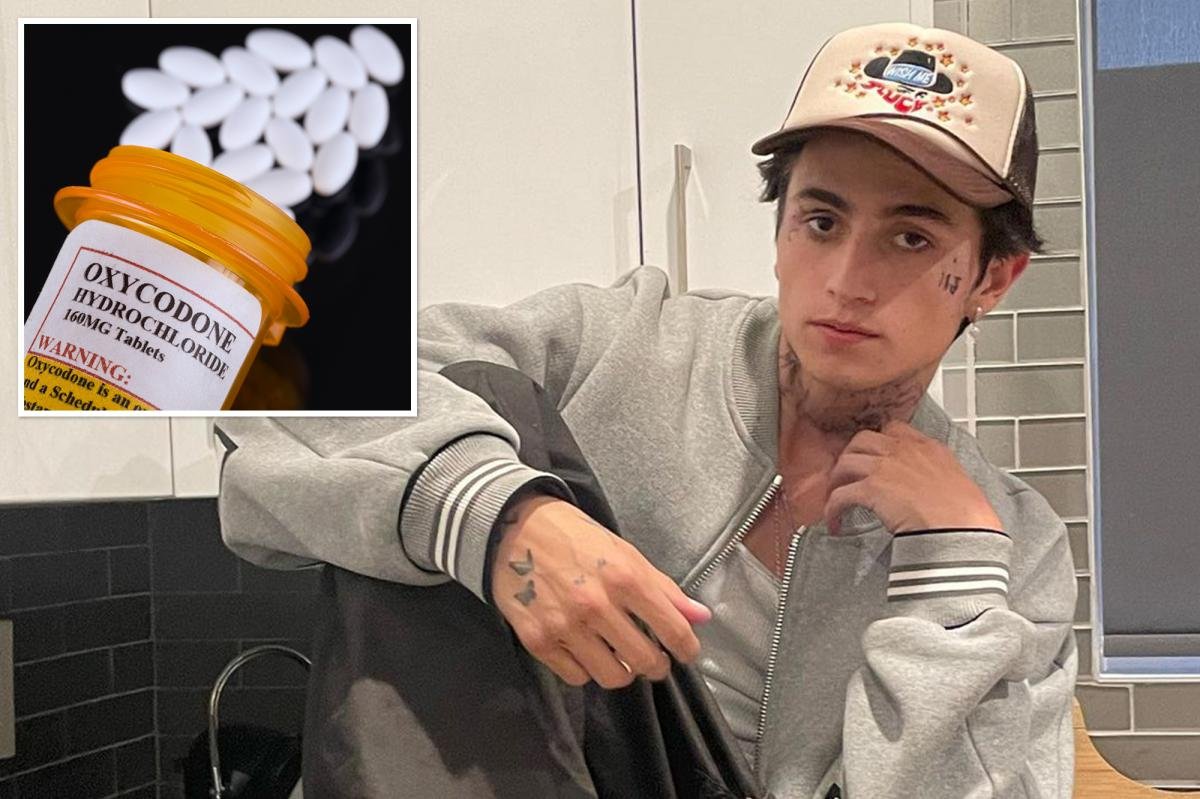 You are currently viewing Influencer Cooper Noriegaâs overdose death tied to evil âDoorDash for Drugs’ scheme