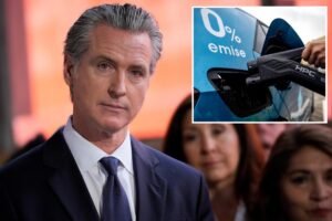 Read more about the article Gavin Newsom defends gas car ban opposed by huge majority of Californians