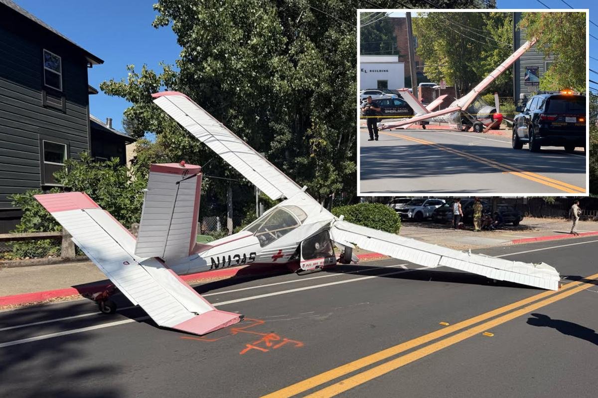 You are currently viewing Plane makes terrifying crash landing on Main Street in sleepy California town
