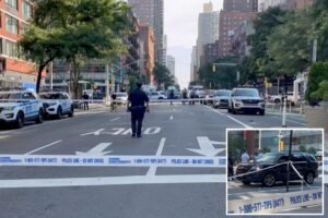 Read more about the article USPS truck fatally strikes man and flees scene as NYC sees 2 deadly hit-and-runs overnight: sources