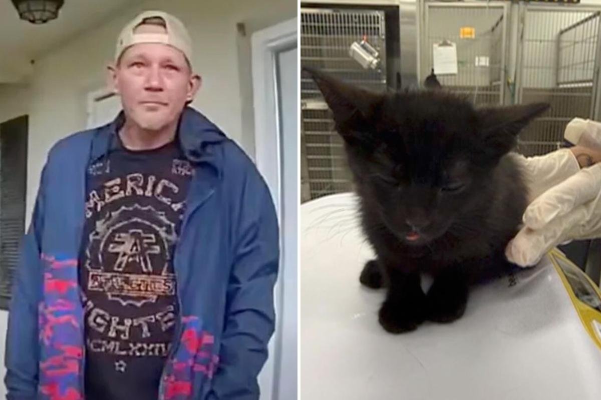 You are currently viewing Man arrested for allegedly killing 2 cats, almost drowing another in twisted punishment for daughter
