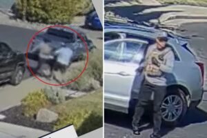 Read more about the article Horrifying video shows elderly man fatally stabbed in front yard in quiet California town