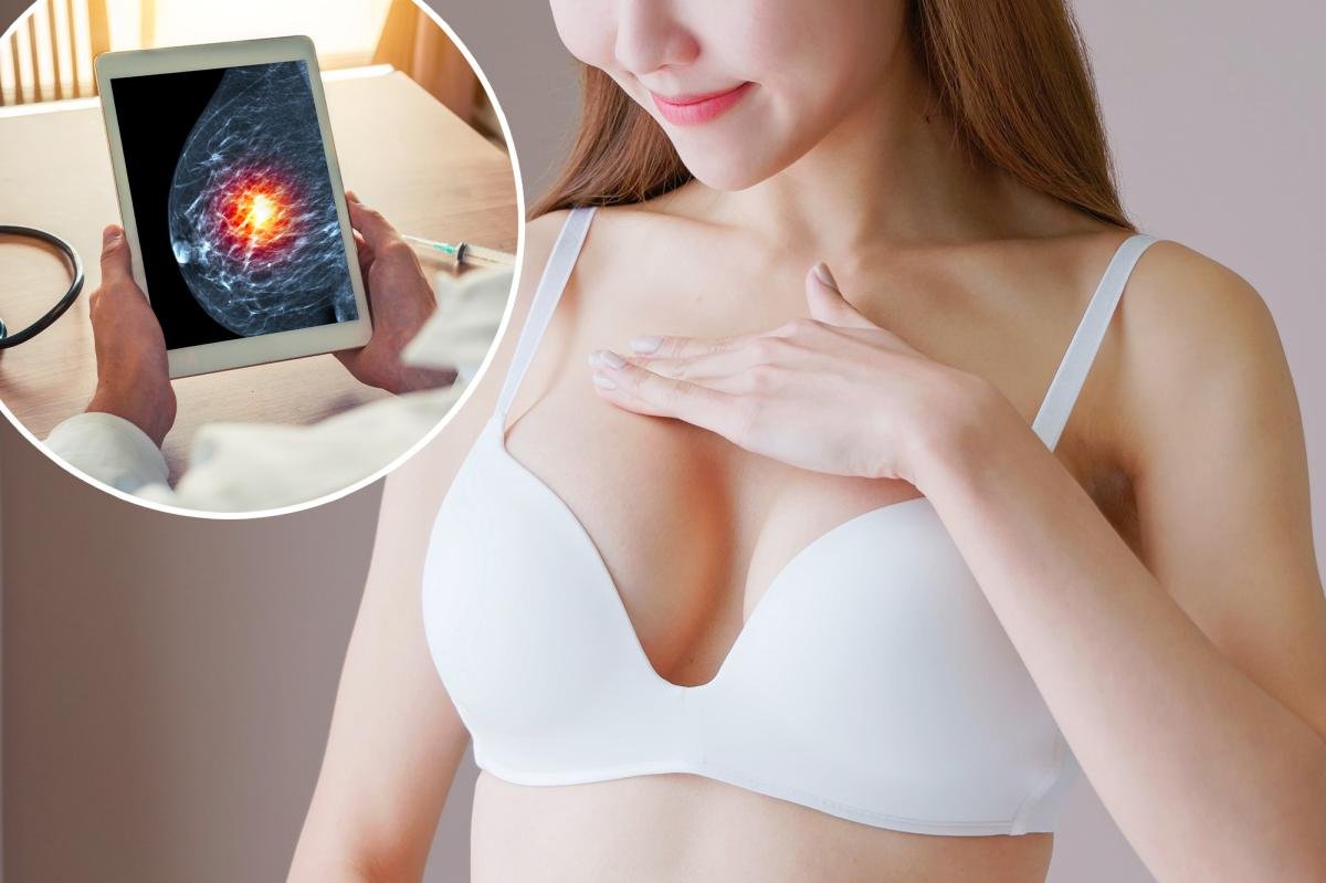 You are currently viewing French ‘smart bra’ could help detect early signs of breast cancer