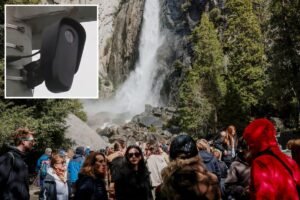 Read more about the article Draconian spy cameras that vigilantes are tearing down pop up in America’s most beautiful national park