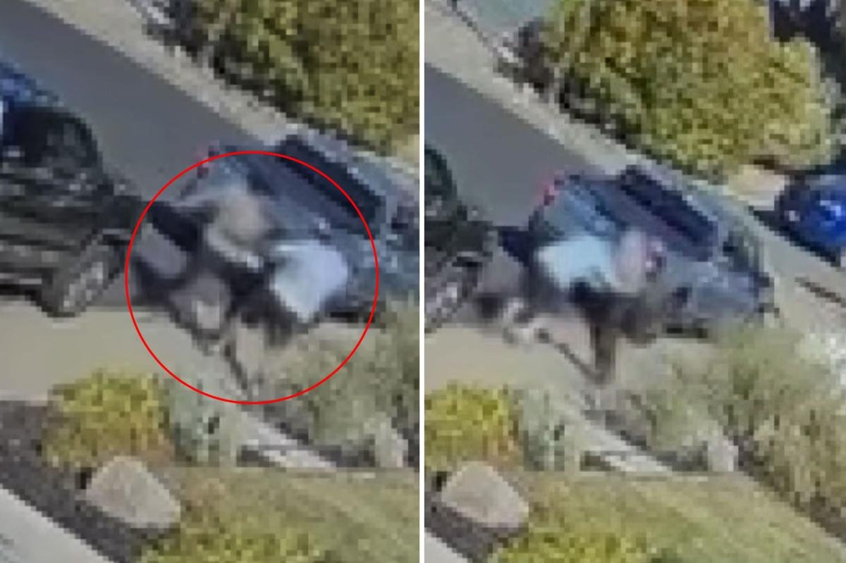 You are currently viewing Martinez knifeman who allegedly butchered man on California street was released just a day earlier