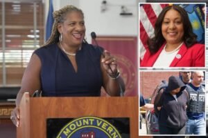Read more about the article Democrats let down majority black NY city as police bigwig accused of joining son in gang drive-by: critics