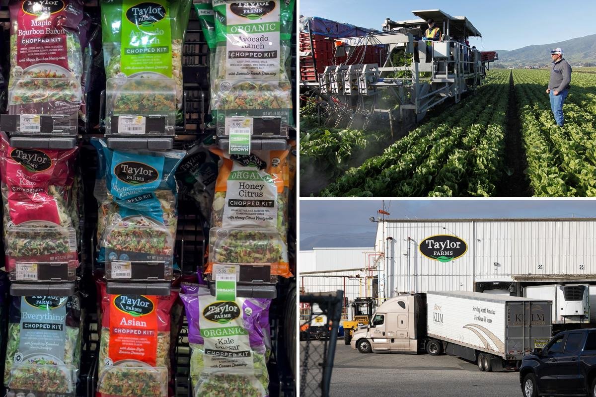 You are currently viewing Taylor Farms recalls salsa, guacamole over salmonella fears after company linked to âexplosive diarrheaâ outbreak