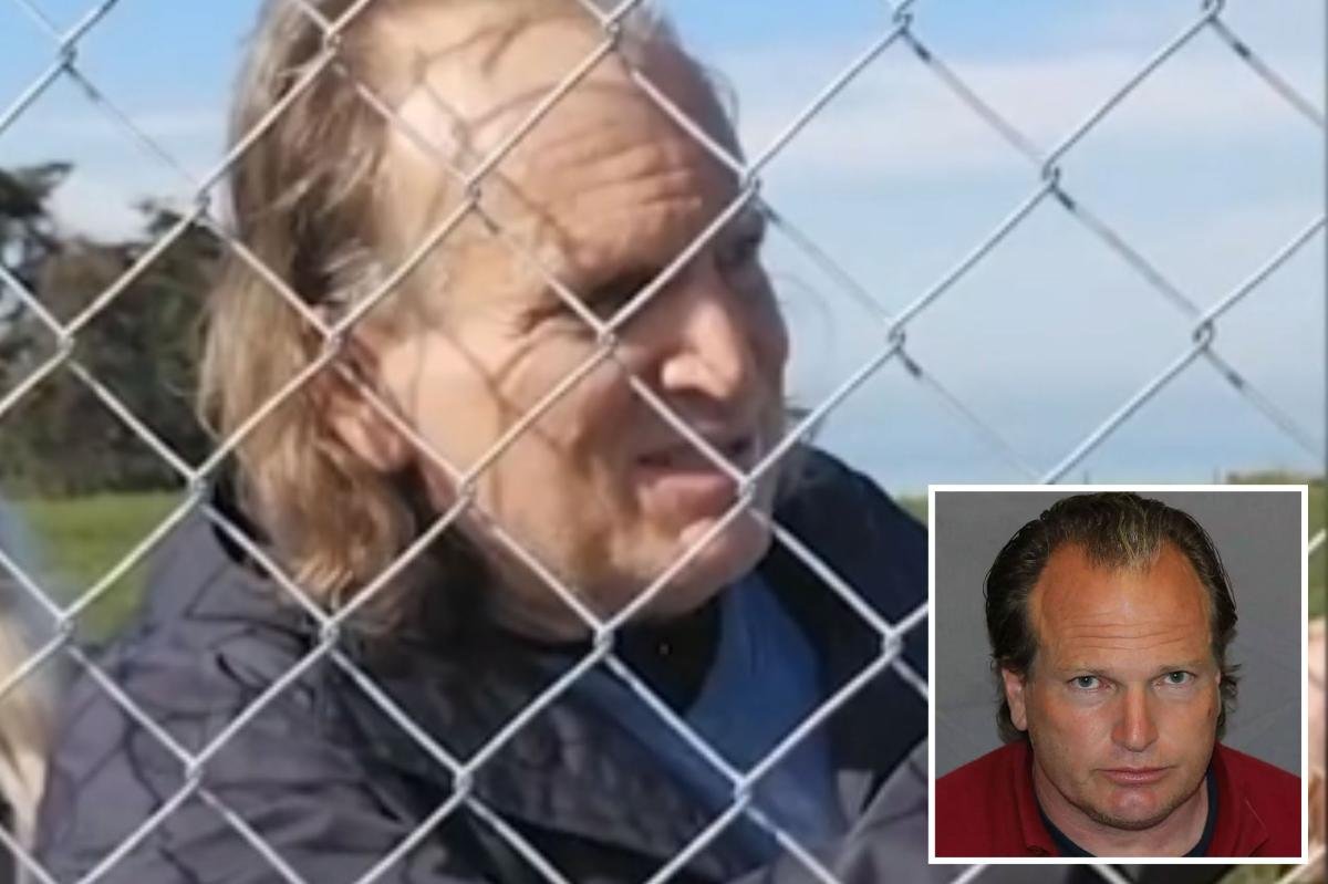 You are currently viewing High-flying landowner who said he’d shoot beach ‘trespassers’ finally snared â as he blows up at judge