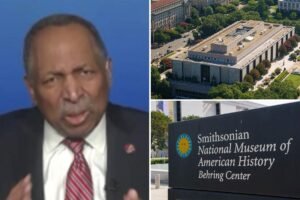 Read more about the article Great-grandson of slaves has warning about Smithsonianâs anti-American âindoctrinationâ