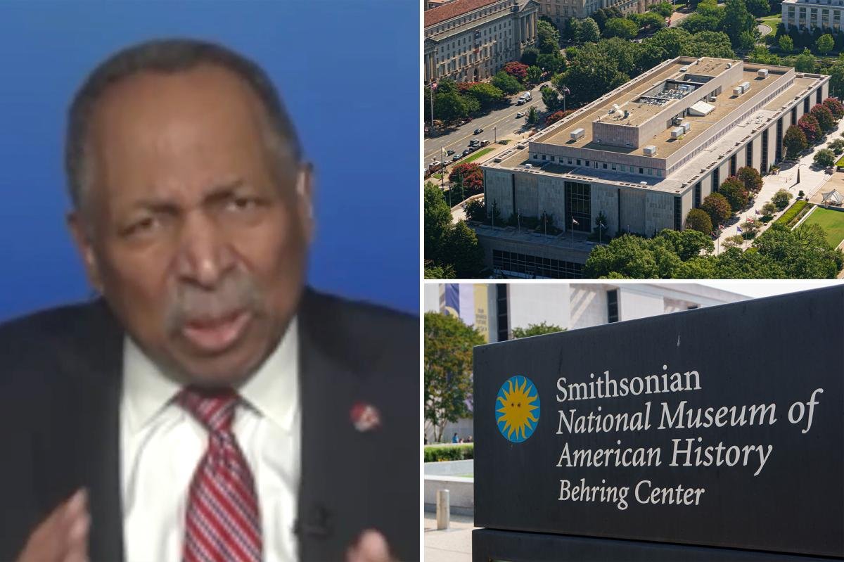 You are currently viewing Great-grandson of slaves has warning about Smithsonianâs anti-American âindoctrinationâ