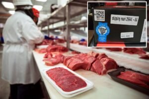 Read more about the article Nearly 30,000 pounds of raw beef sold in the US hit with high-risk recall after bypassing import inspections