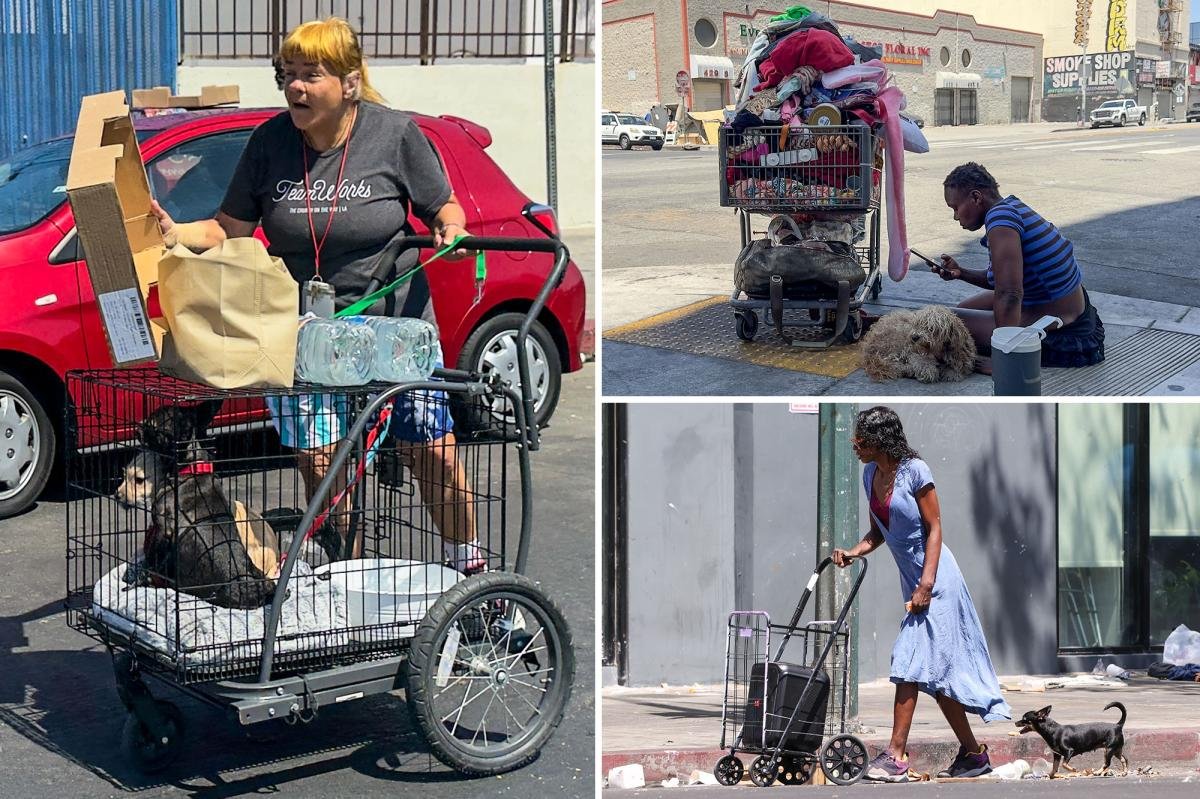 You are currently viewing Cold hard cash offered for tipsters to report animal abuse as issue spirals on Skid Row
