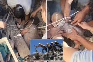 Read more about the article Astonishing video shows baby rescued from rubble as Colombian quake toll tops 250