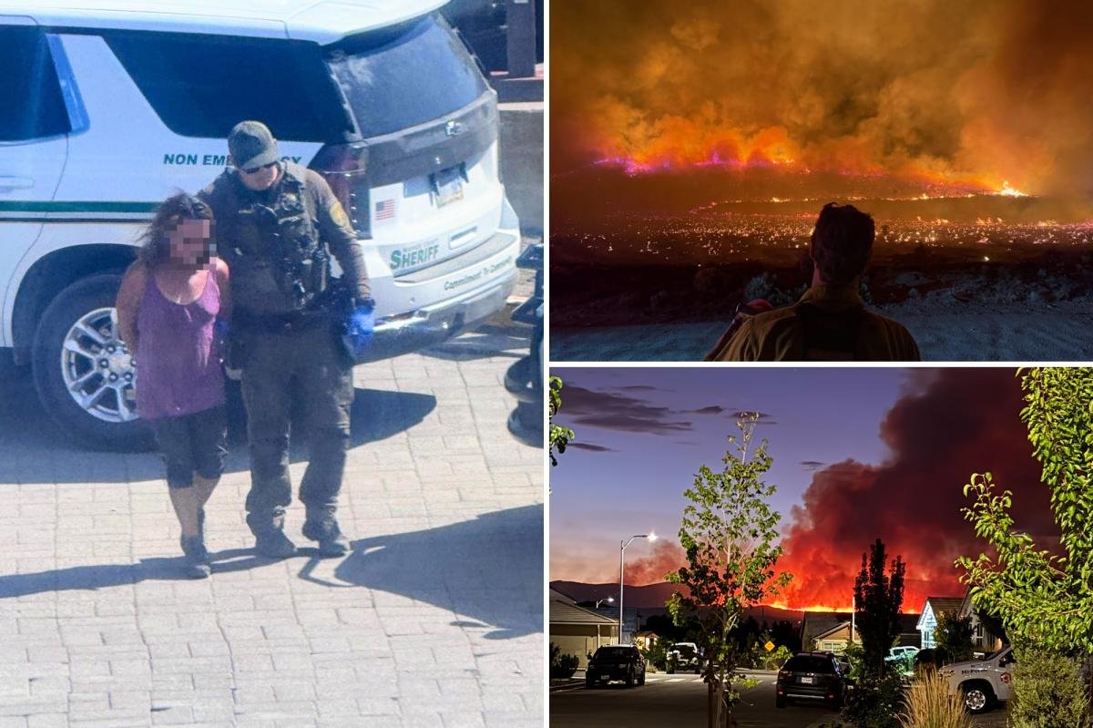 You are currently viewing Cops arrest firebug accused of starting Fred Mountain Fire that merged into Bug Fire on California-Nevada border