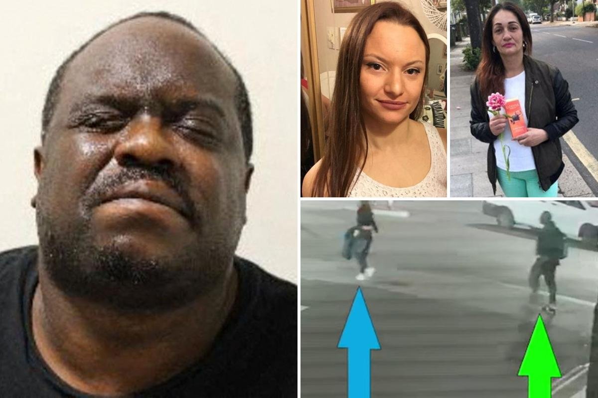 You are currently viewing Serial sex offender gets life sentence for double murder, rape after the law failed to stop him
