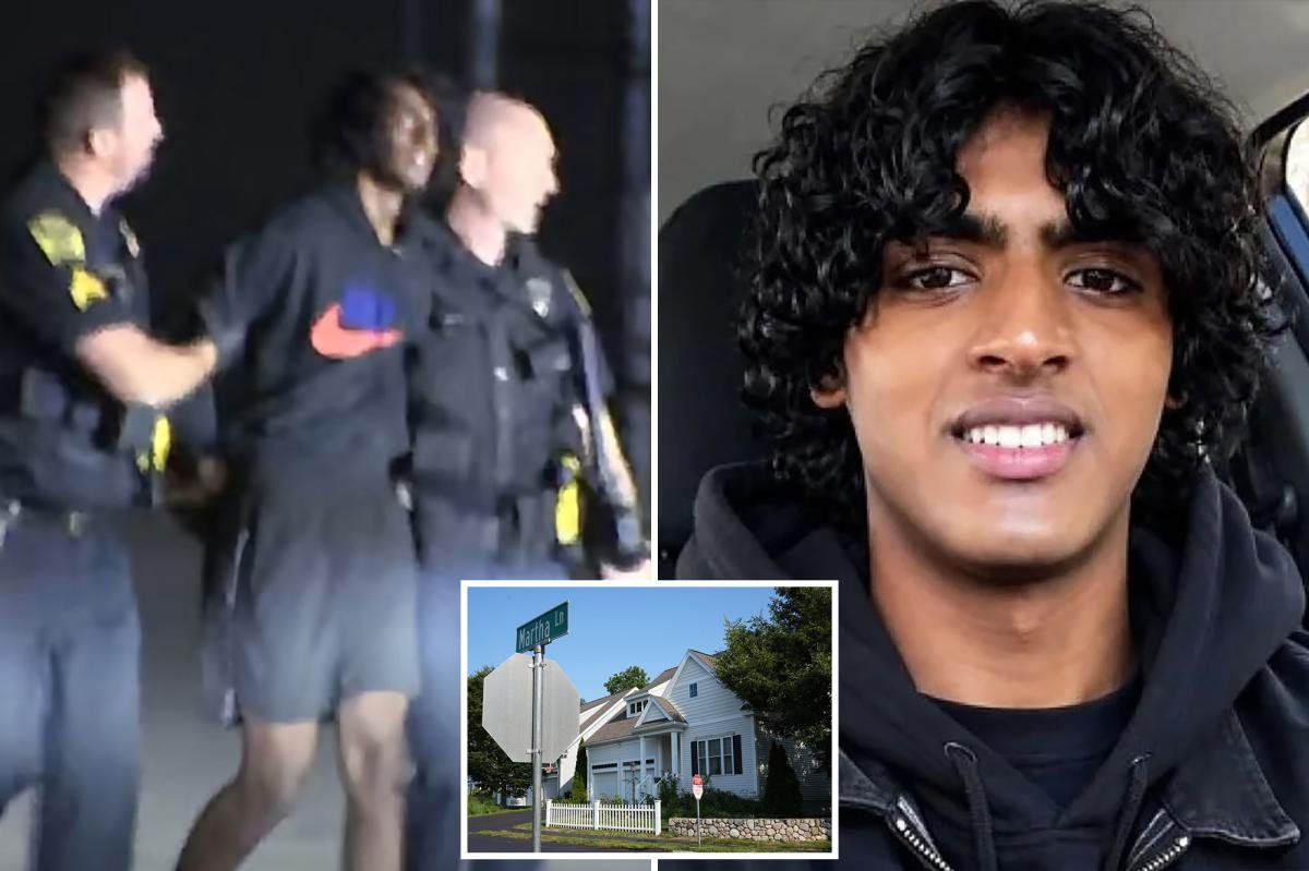 You are currently viewing Teen allegedly slaughtered mom and brother after asking AI to create ‘fantasies’ about murdering family