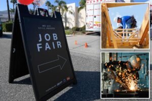 Read more about the article Male Gen Zers are dropping out of the US job market in droves: ‘Susceptible to being displaced by AI’