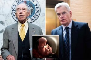 Read more about the article Pro-lifers push investigation into NIH using aborted baby organs and tissue in research