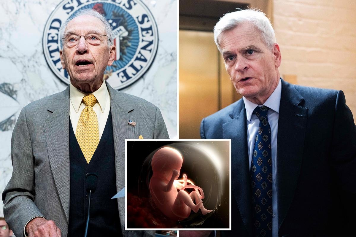 You are currently viewing Pro-lifers push investigation into NIH using aborted baby organs and tissue in research