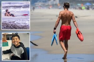 Read more about the article Heroic lifeguard points way to crucial change in California