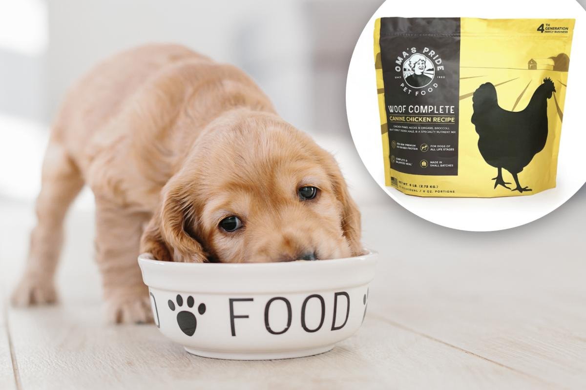 You are currently viewing Dog food sold in 11 states recalled over deadly Salmonella contamination fears