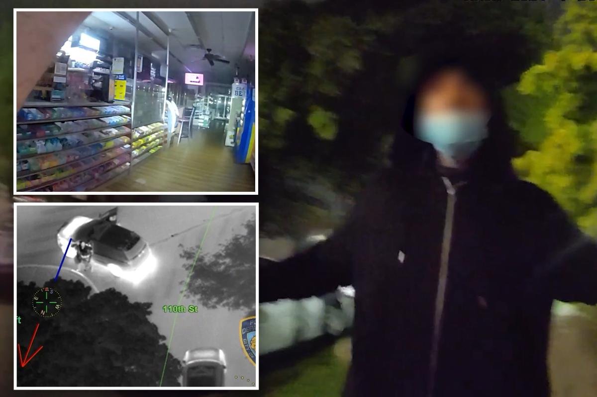 You are currently viewing Watch: Wild video of burglary arrest in NYC shows chopper pursuit