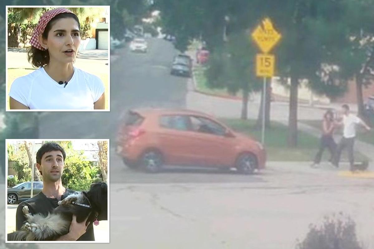 You are currently viewing Terrifying moment deranged driver tries to run over couple and their dog at LA park: ‘Bet you’re f—ing scared now’