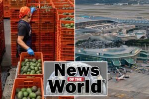 Read more about the article News of the World: What you missed this week internationally