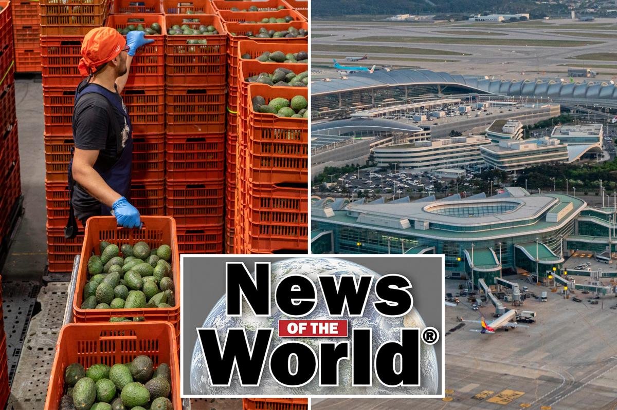 You are currently viewing News of the World: What you missed this week internationally