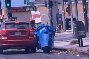 Read more about the article Bizarre moment trashcan bandits seen dragging massive bins from moving car
