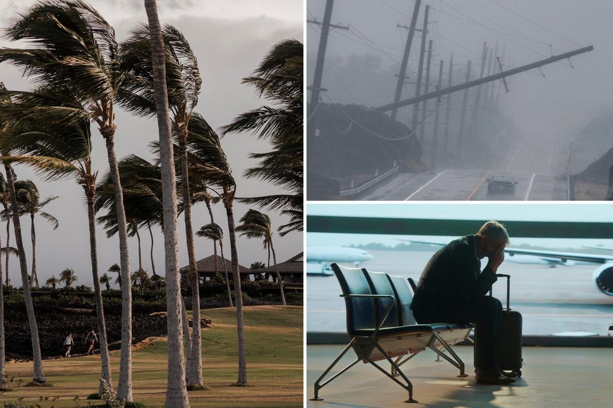You are currently viewing Travel chaos at LAX as hurricane cancels Hawaii-bound flights