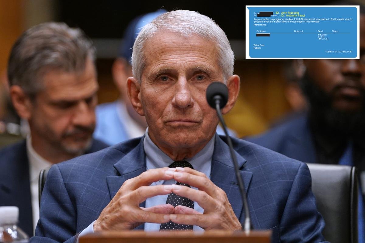 You are currently viewing Fauci was told about questions over COVID-19 vaccine studies and miscarriages, new texts show
