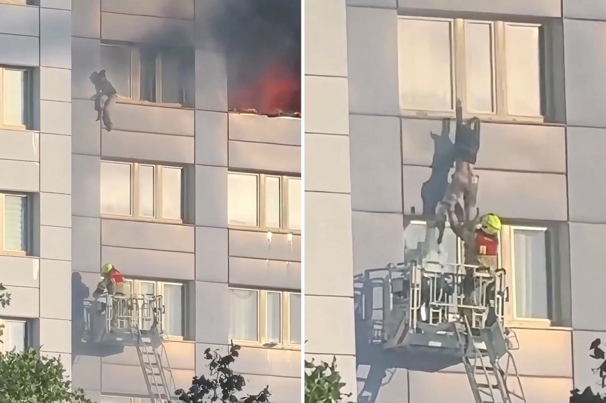 You are currently viewing Harrowing video shows woman take death-defying leap from 11th-floor of burning high-rise building
