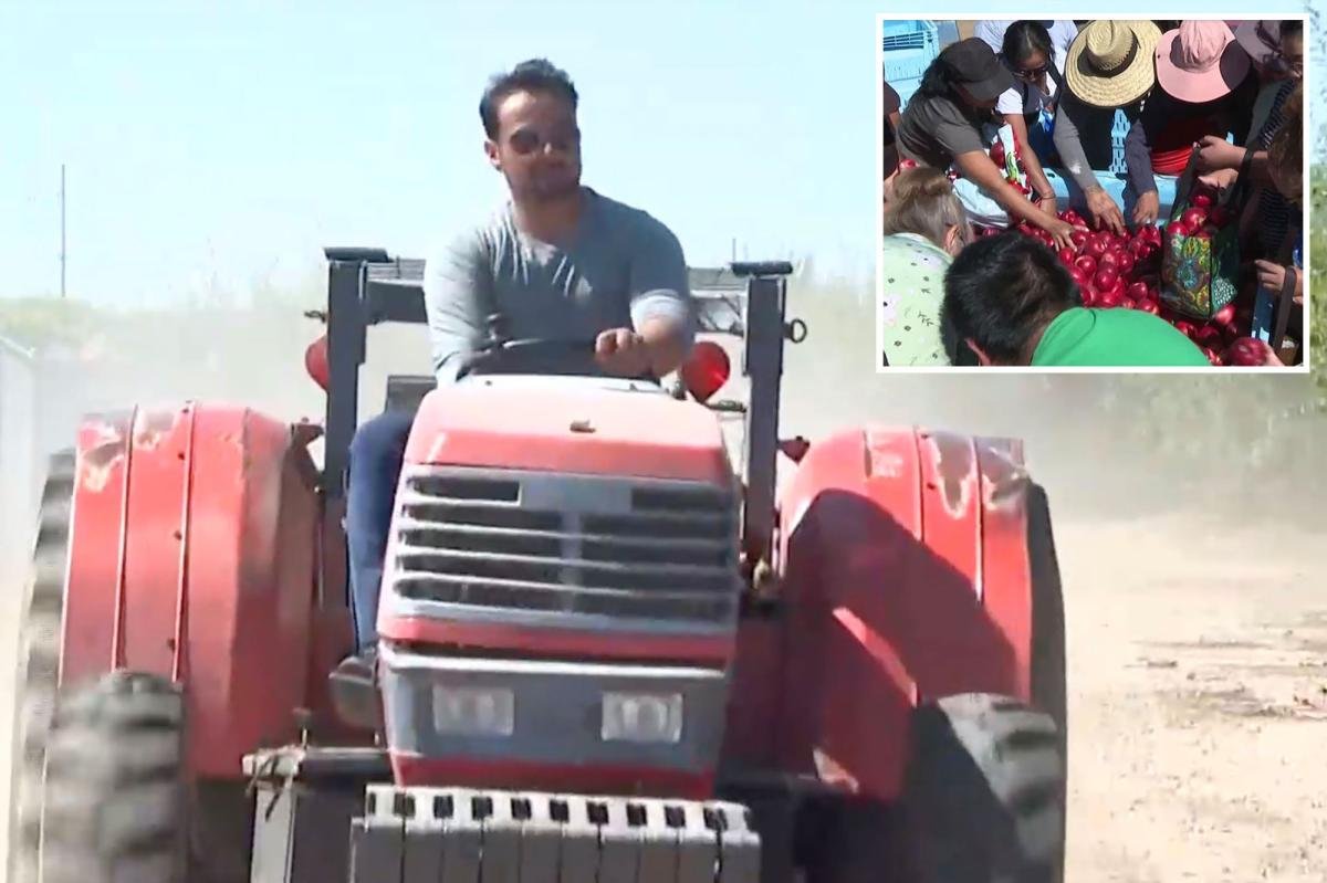 You are currently viewing California farmer who sparked frenzied crowds with free nectarine stunt ordered to destroy fruit trees