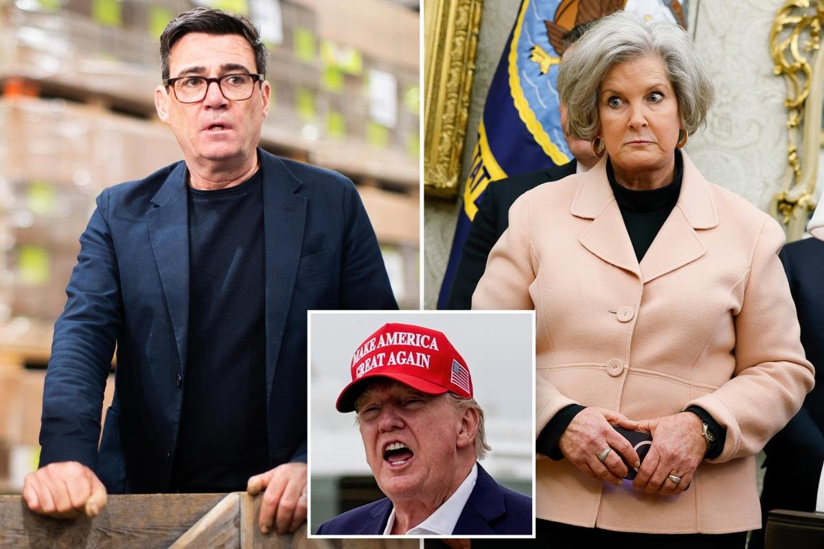 You are currently viewing New UK Prime Minister texted with imposter posing as top Trump aide: report