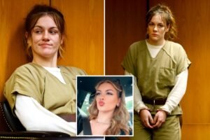 Read more about the article Alleged sicko NJ babysitter accused of sexually assaulting tot could land sweetheart deal