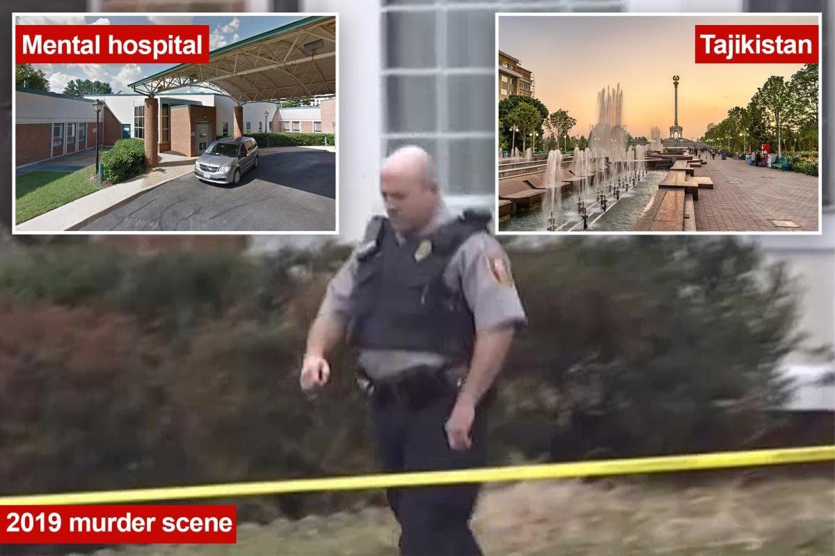 You are currently viewing Virginia man acquitted by insanity in killing flees US during 48-hour mental hospital pass