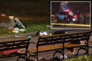 Read more about the article Woman, 30, fatally stabbed in Brooklyn park