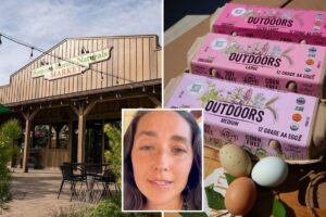Read more about the article California egg producer IDâd as source of salmonella outbreak: health officials
