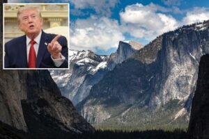 Read more about the article Trump admin to rescind decades-long roadless rule for national forests — enrages environmentalists nationwide