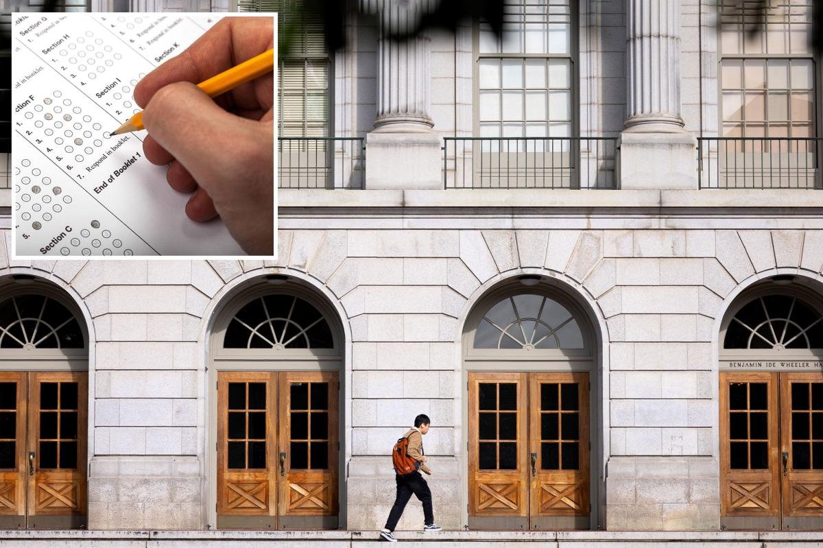 Read more about the article UC Berkeley’s ban on standardized tests produces failure â as predicted