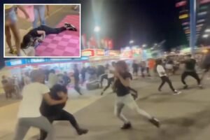 Read more about the article Wisconsin State Fair descends into chaos as brawl breaks out in final hours of annual festival