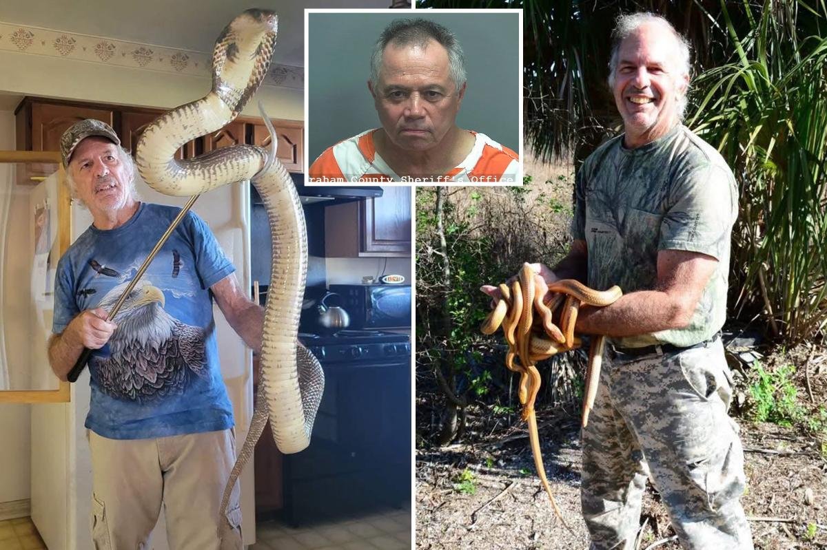 You are currently viewing Animal Planet star killed in hit and run while looking at snake