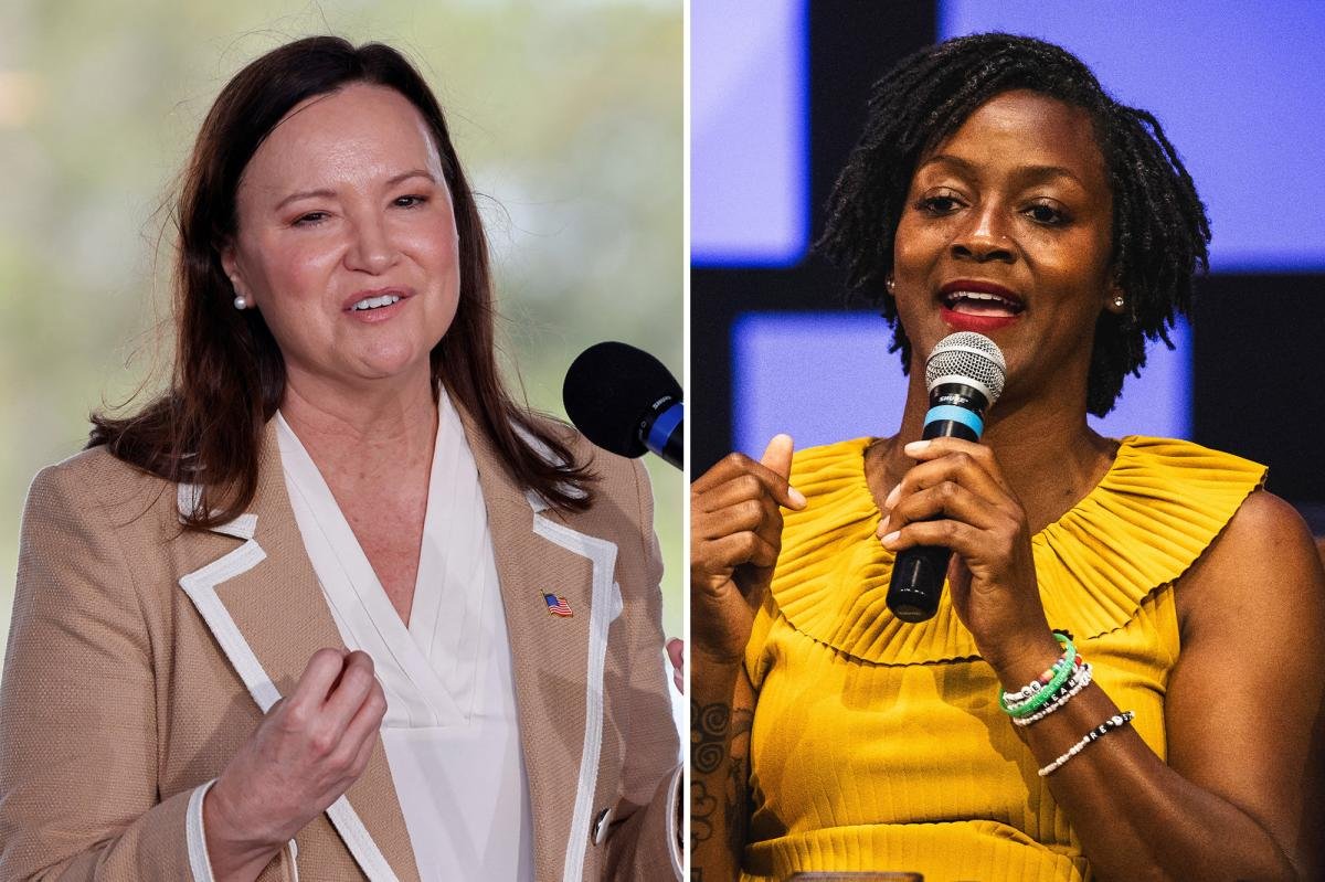 Read more about the article DSA breaks through with Angie Nixon’s Florida Senate primary upset, but Republicans expected to roll in November