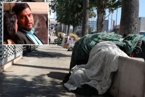 Read more about the article Insane: The LA City Council just voted to hand more parks to the homeless