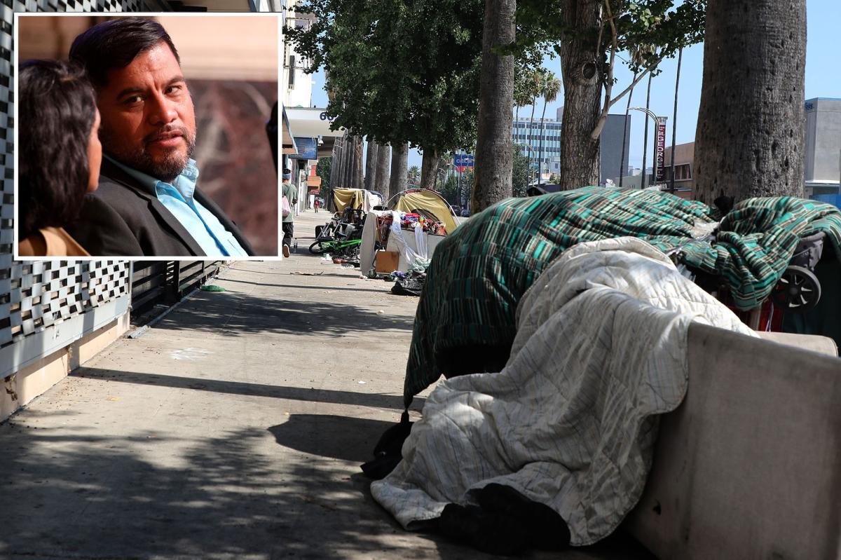 Read more about the article Insane: The LA City Council just voted to hand more parks to the homeless