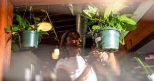 Read more about the article A guide to Atwater Village: Best things to do, see and eat