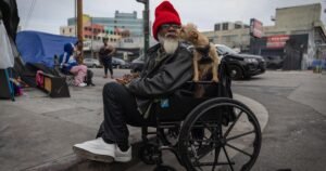 Read more about the article An accounting glitch caused nearly half of L.A.’s increase in the homeless count