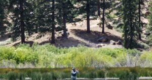 Read more about the article Man goes missing while camping in Big Bear, found dead